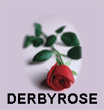 Derbyrose